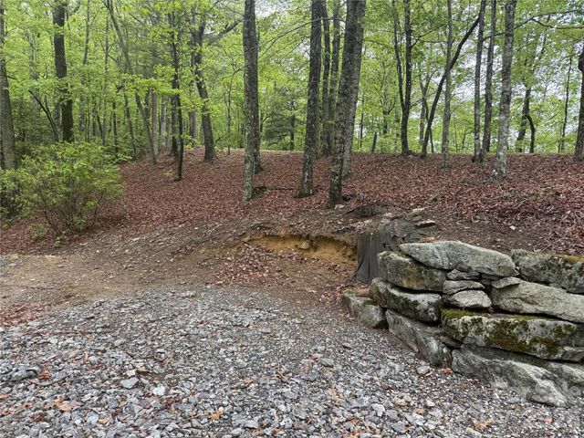 39 Black Bear Ridge Trail 20, Zirconia, NC 28790