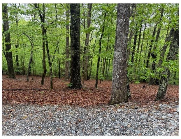 39 Black Bear Ridge Trail 20, Zirconia, NC 28790