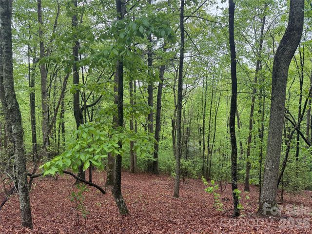 39 Black Bear Ridge Trail 20, Zirconia, NC 28790