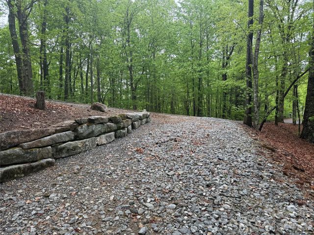 39 Black Bear Ridge Trail 20, Zirconia, NC 28790
