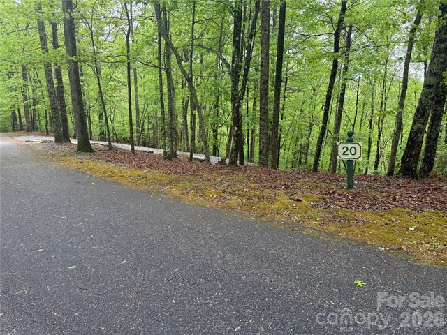 39 Black Bear Ridge Trail 20, Zirconia, NC 28790