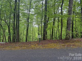 39 Black Bear Ridge Trail 20, Zirconia, NC 28790