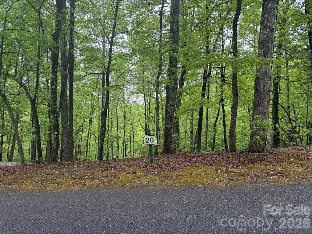 39 Black Bear Ridge Trail 20, Zirconia, NC 28790