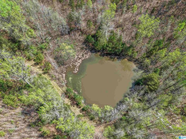 1504 COUNTY ROAD 450, Clanton, AL 35046
