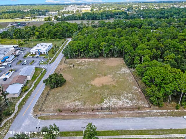 15241 Horn Avenue, Brooksville, FL 34613