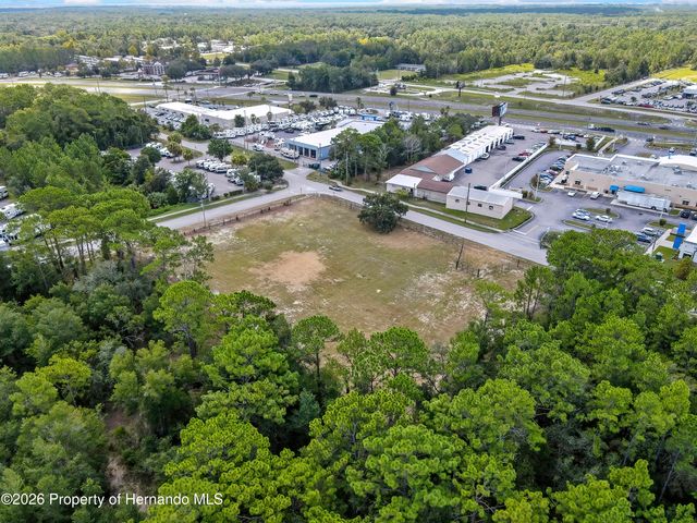 15241 Horn Avenue, Brooksville, FL 34613