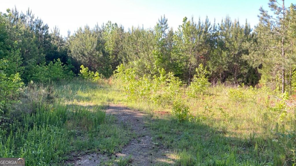 927 Candy Kitchen Road, Temple, GA 30179 — photo 2