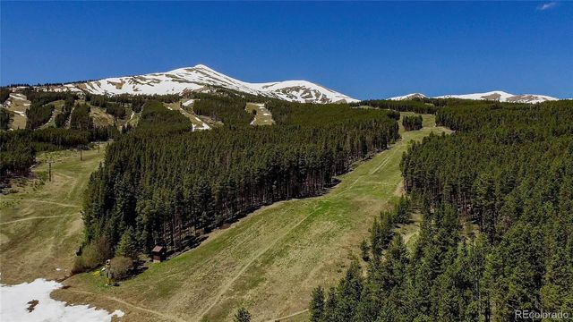 107 Ski Watch Road 32, Breckenridge, CO 80424