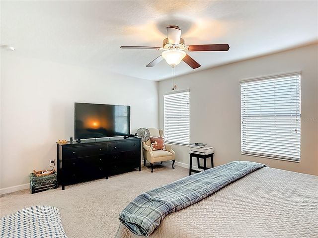 28599 TRANQUIL LAKE CIRCLE, Wesley Chapel, FL 33543