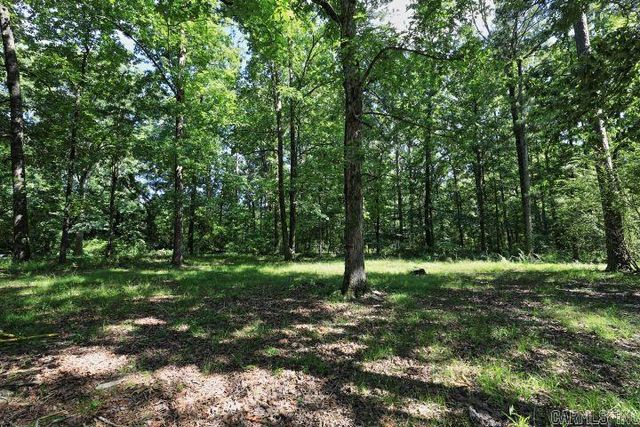 193 Sycamore, Sheridan, AR 72150