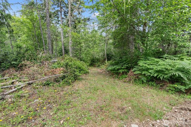 1090 NE Patton, Tahuya, WA 98588