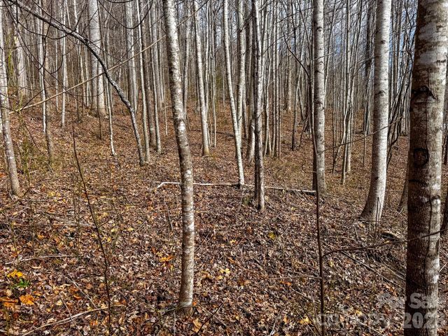 770 Somersby Parkway, Hendersonville, NC 28739