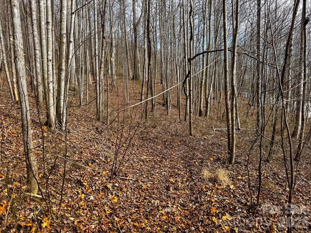 770 Somersby Parkway, Hendersonville, NC 28739