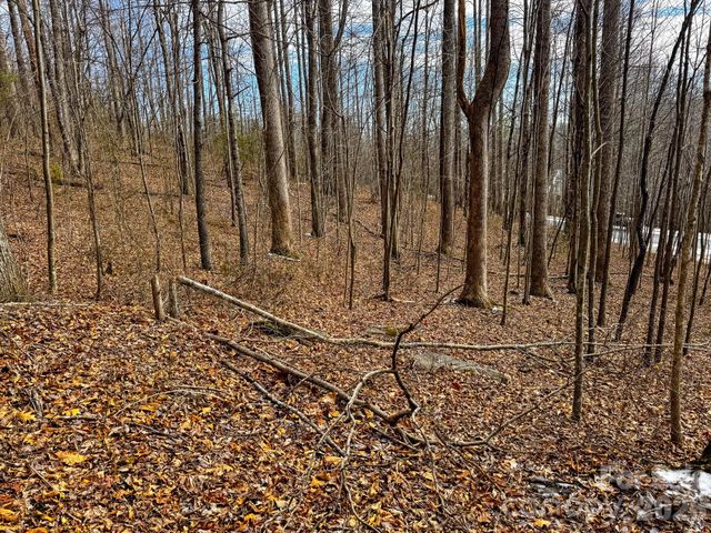 770 Somersby Parkway, Hendersonville, NC 28739