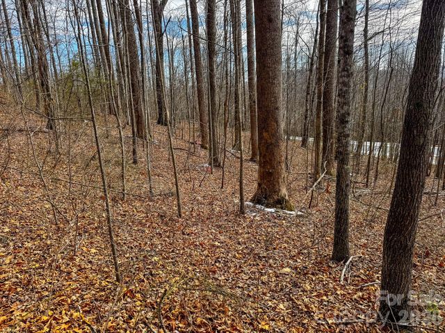 770 Somersby Parkway, Hendersonville, NC 28739