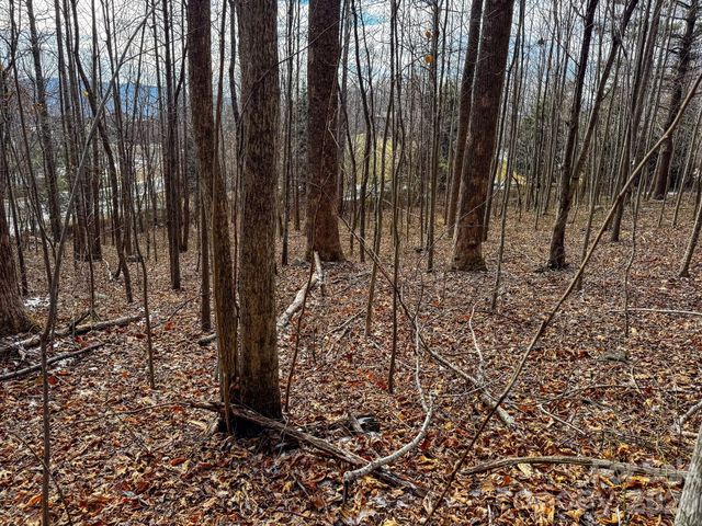 770 Somersby Parkway, Hendersonville, NC 28739