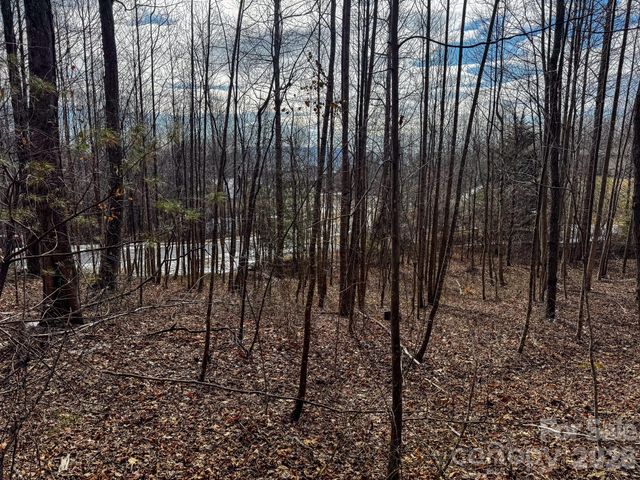 770 Somersby Parkway, Hendersonville, NC 28739