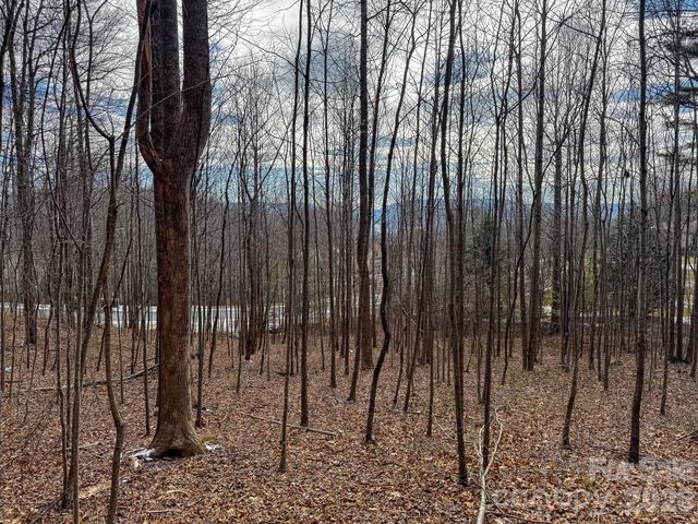 770 Somersby Parkway, Hendersonville, NC 28739