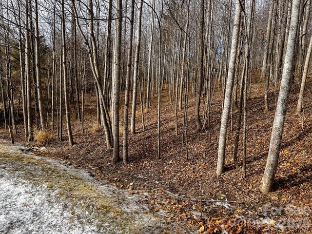 770 Somersby Parkway, Hendersonville, NC 28739