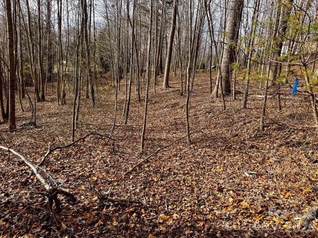 770 Somersby Parkway, Hendersonville, NC 28739