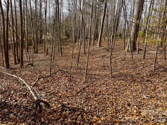 770 Somersby Parkway, Hendersonville, NC 28739