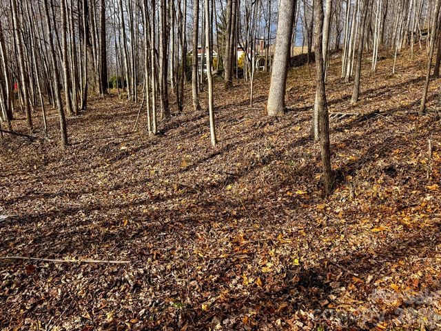 770 Somersby Parkway, Hendersonville, NC 28739