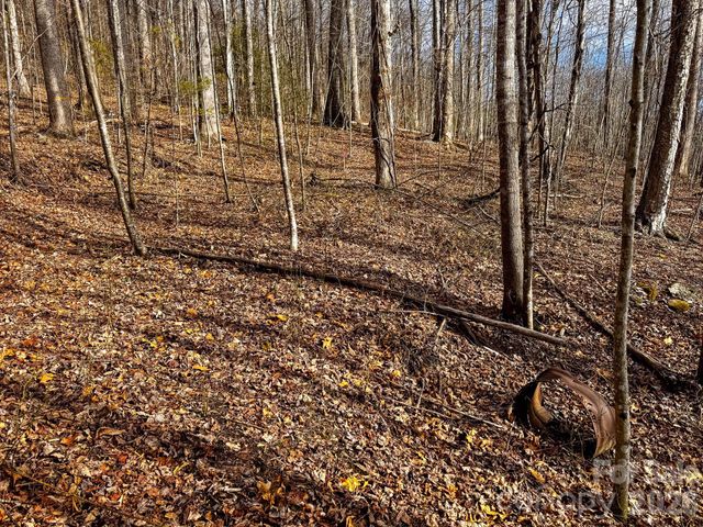 770 Somersby Parkway, Hendersonville, NC 28739