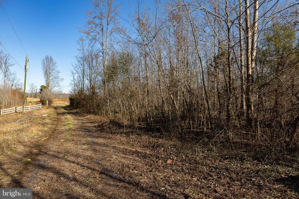 8311 DAISY LN, King George, VA 22485