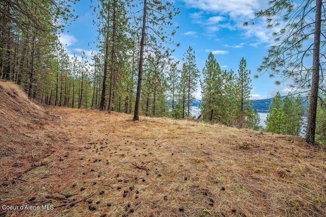 NNA E Crows Nest Rd, Harrison, ID 83833