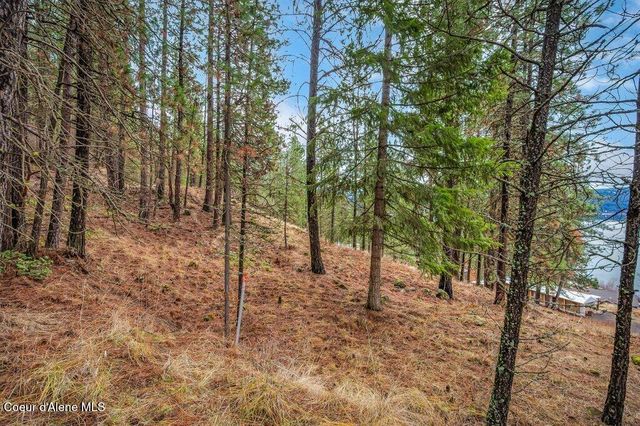 NNA E Crows Nest Rd, Harrison, ID 83833