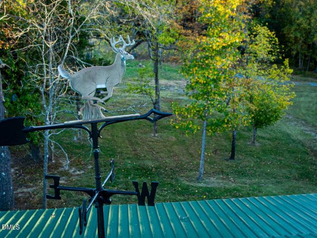 785 Glennie Irvin Road, Semora, NC 27343