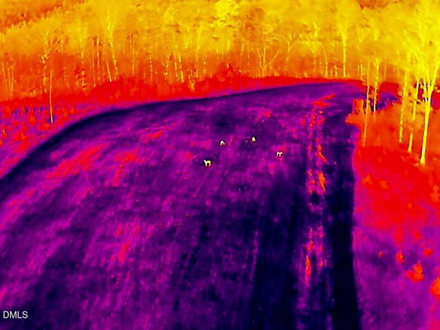 785 Glennie Irvin Road, Semora, NC 27343