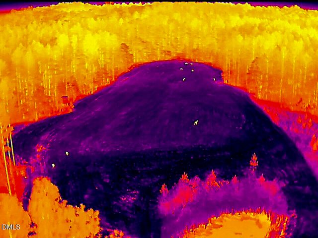 785 Glennie Irvin Road, Semora, NC 27343