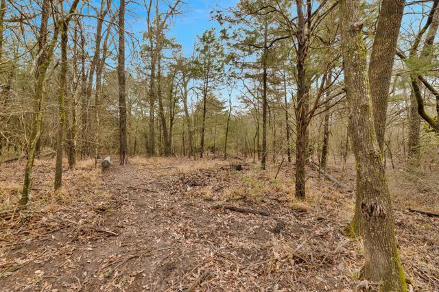 TBD Co Rd 343, Kaufman, TX 75142