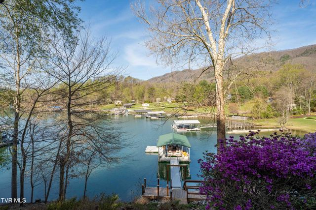 134 Summer Hill Private Drive, Butler, TN 37640