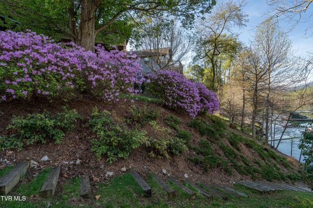 134 Summer Hill Private Drive, Butler, TN 37640