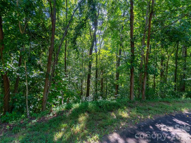 0 Harm Creek Loop 2142, Mill Spring, NC 28756