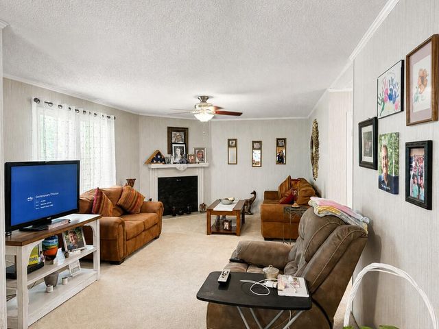 350 Bobcat Lane, Warne, NC 28909