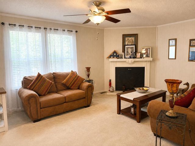 350 Bobcat Lane, Warne, NC 28909