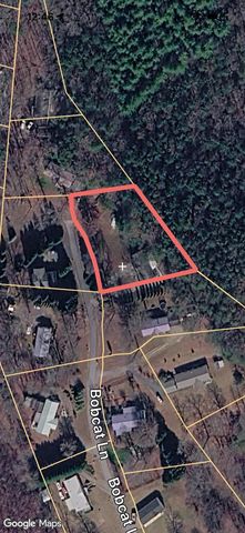 350 Bobcat Lane, Warne, NC 28909