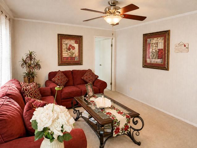 350 Bobcat Lane, Warne, NC 28909