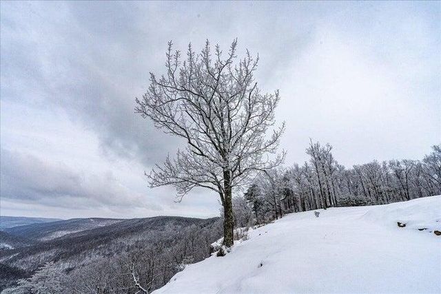 110 Falls Lane, Spencer, TN 38585