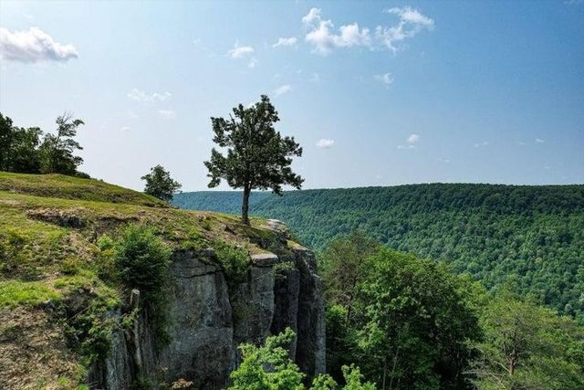 110 Falls Lane, Spencer, TN 38585