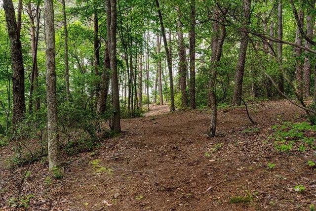 110 Falls Lane, Spencer, TN 38585