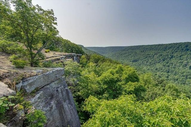 110 Falls Lane, Spencer, TN 38585