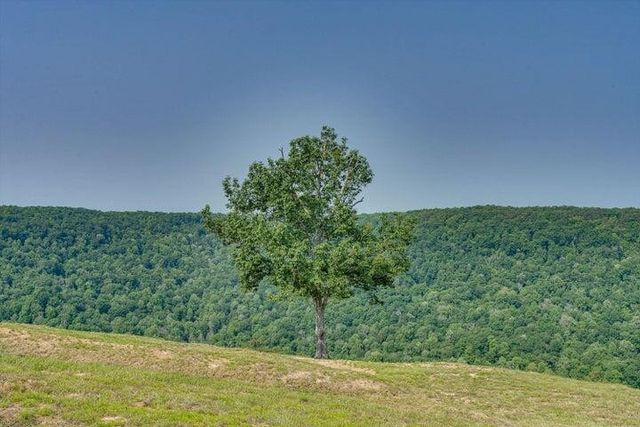 110 Falls Lane, Spencer, TN 38585