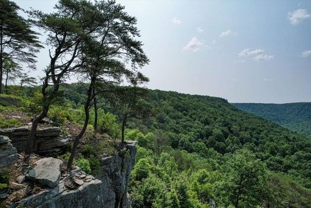 110 Falls Lane, Spencer, TN 38585