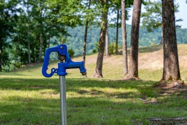 110 Falls Lane, Spencer, TN 38585