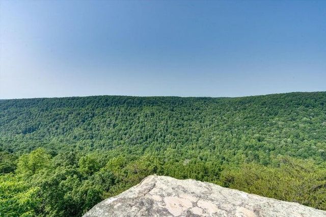 110 Falls Lane, Spencer, TN 38585