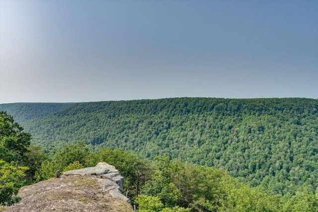 110 Falls Lane, Spencer, TN 38585